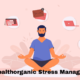 Wellhealthorganic Stress Management: A Holistic Approach to Finding Balance