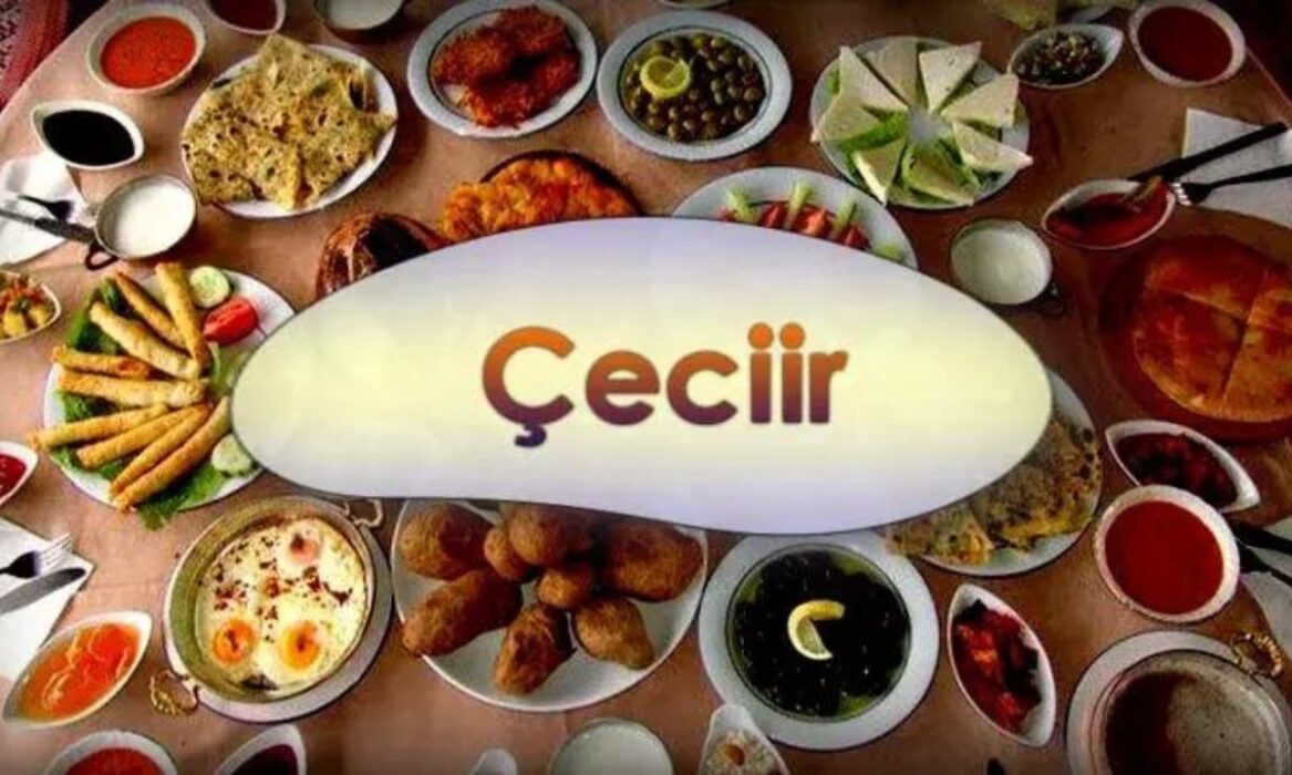 What Should You Know About Çeciir? A Brief Guide