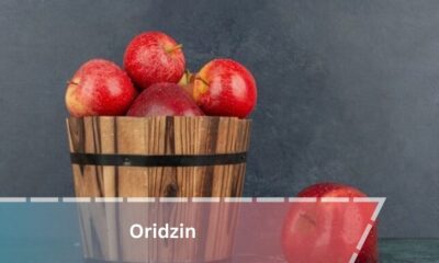 Exploring the Wonders of Oridzin: A Natural Health Superstar
