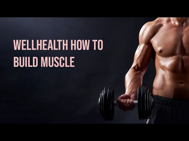 Wellhealth: How to Build Muscle - Muscle Building Manual