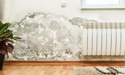 Wet Walls, Falling Value: How Water Damage Hurts Your Home