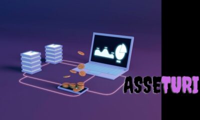 Asseturi: A Comprehensive Guide to Digital Asset Management