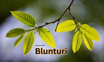 Unveiling the Magic of Blunturi: A Comprehensive Guide