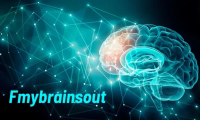 Unlocking the Potential of FMyBrainsOut