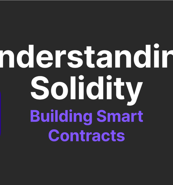 Solidity Mastery Fellowship: Elevating Your Blockchain Development Skills