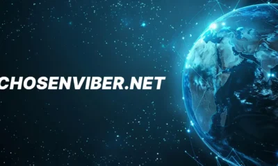 Chosenviber.net: A Digital Hub for Vibrant Connections