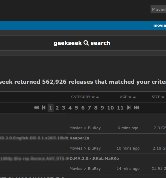 NZBgeek: Exploring the Top NZB Indexer for 2024