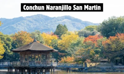 Conchun Naranjillo San Martin: Travel Guide