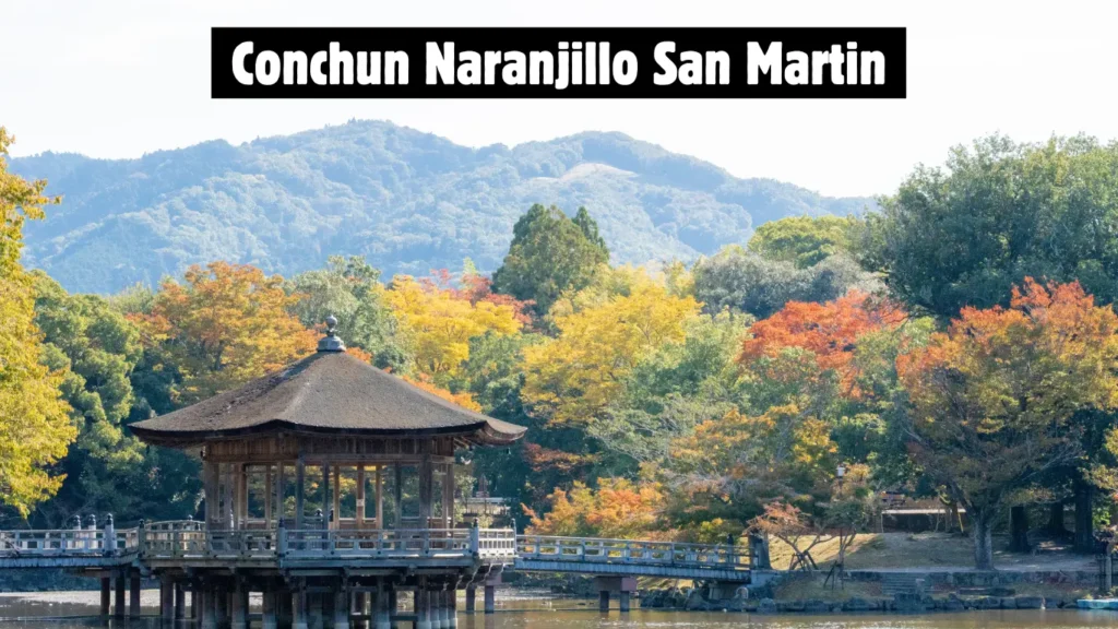 Conchun Naranjillo San Martin: Travel Guide